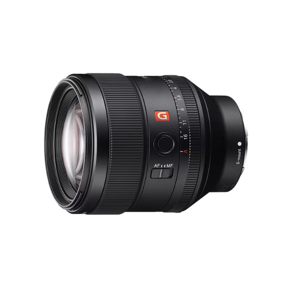 SEL85F14GM