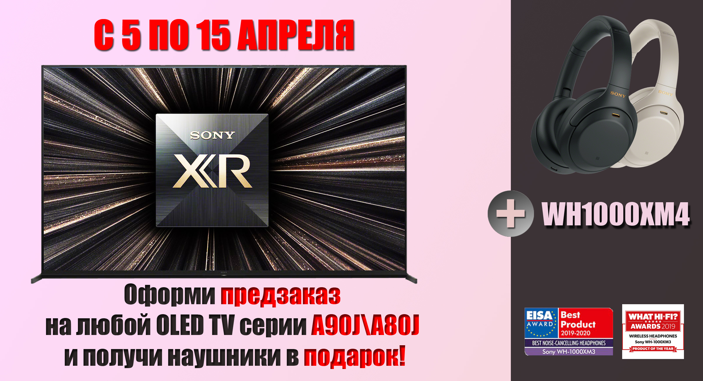 Главная Главная