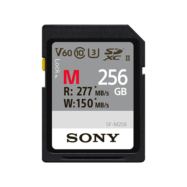 SFM256(SFG2M)
