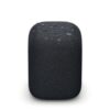 LinkBuds Speaker (SRS-LS1)