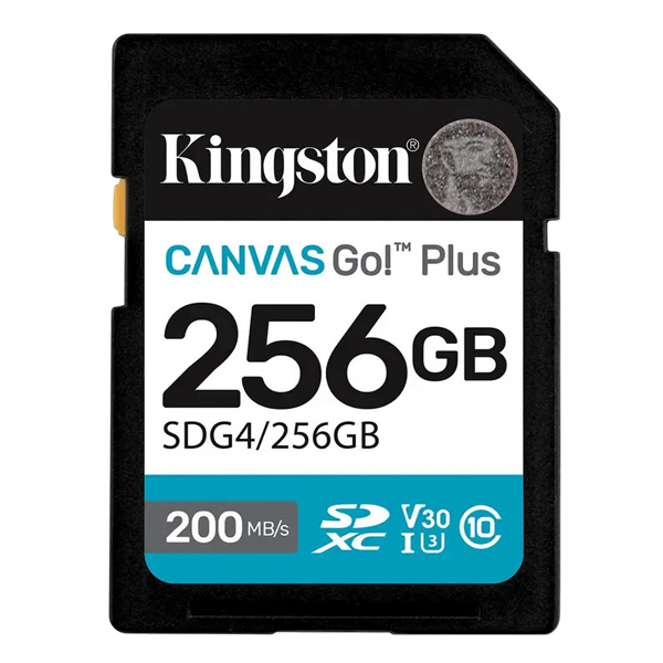 Kingston Canvas Go! Plus 256Gb