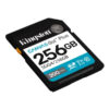 Kingston Canvas Go! Plus 256Gb