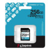 Kingston Canvas Go! Plus 256Gb