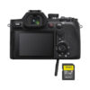 RX10 V