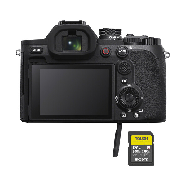 RX10 V